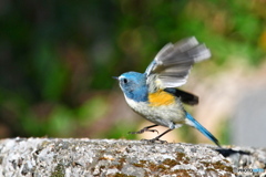 TAKE OFF