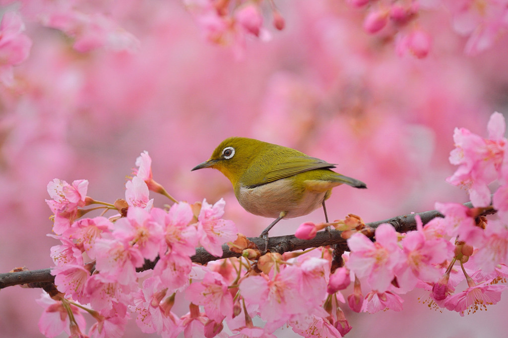 春の気配