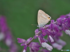 秋深まる 秋深まる