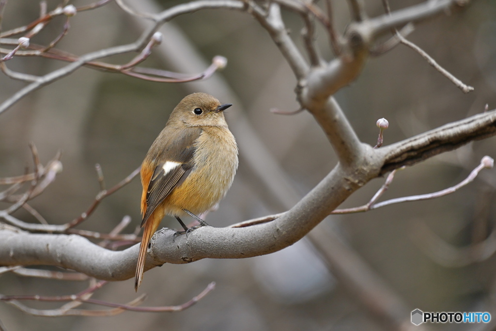 そろそろお別れ