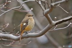 そろそろお別れ