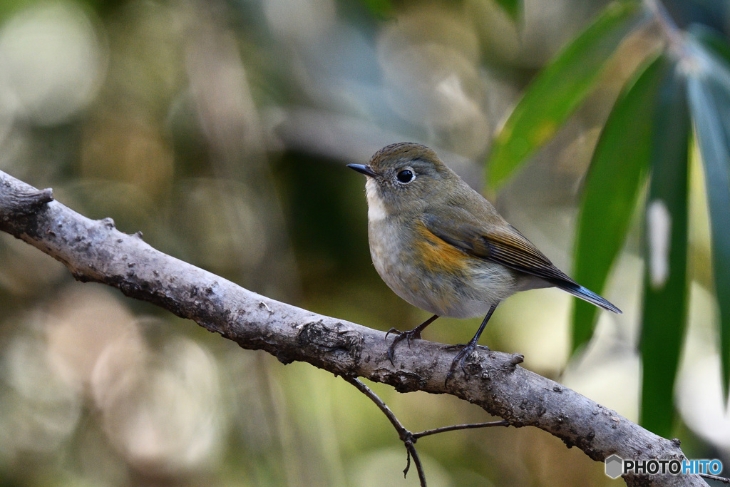 やわらかな光に包まれて