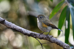 やわらかな光に包まれて