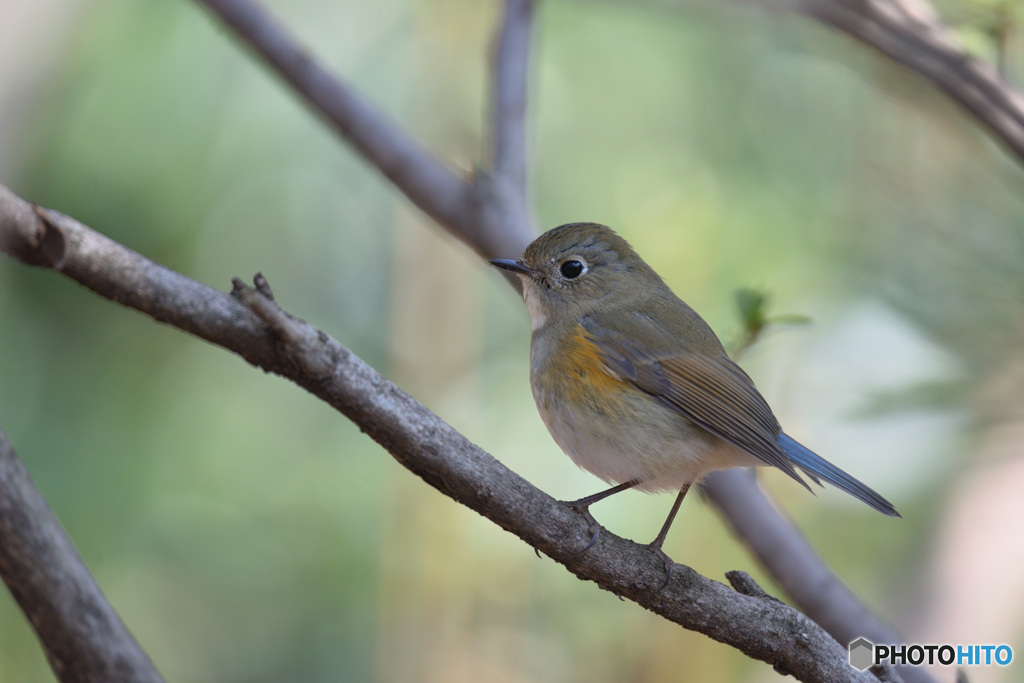 ゆるやかな時間