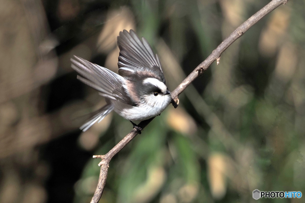 ＴＡＫＥ　ＯＦＦ