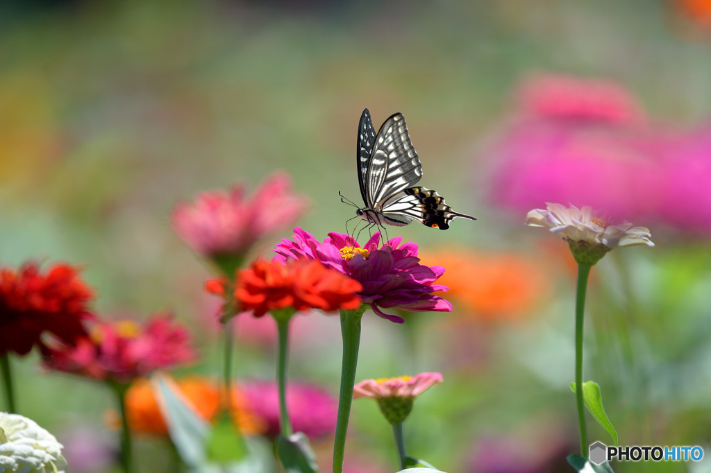 パステルカラーに包まれて