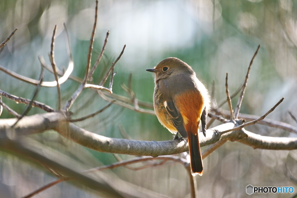 冬の日差しを浴びて