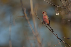 陽だまりの中で