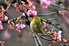 春の気配