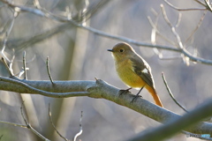冬の日差しを浴びて