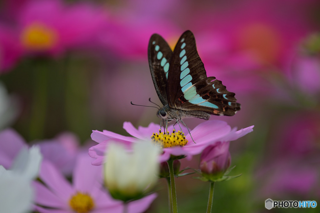 秋の日差しを浴びて