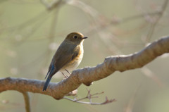 陽だまりの中で