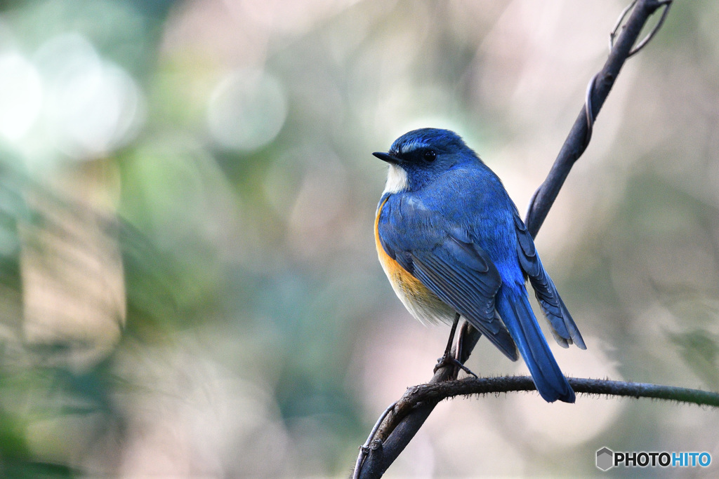 ゆるやかな時間