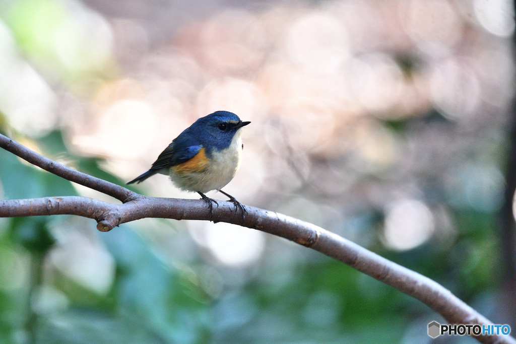 きらめきの中で