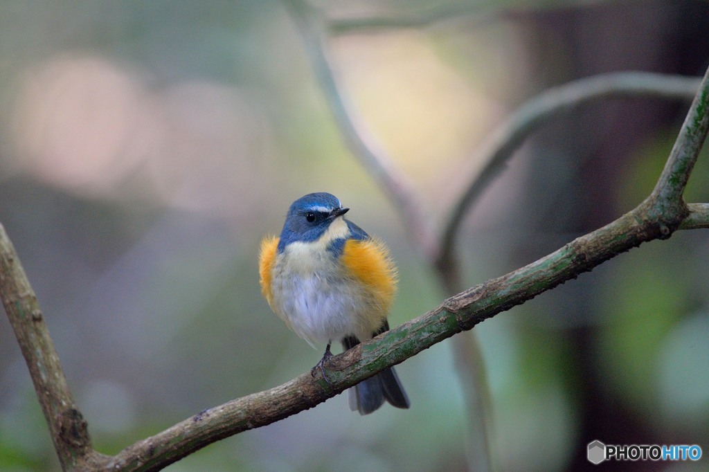 ゆるやかな時間