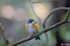 ゆるやかな時間