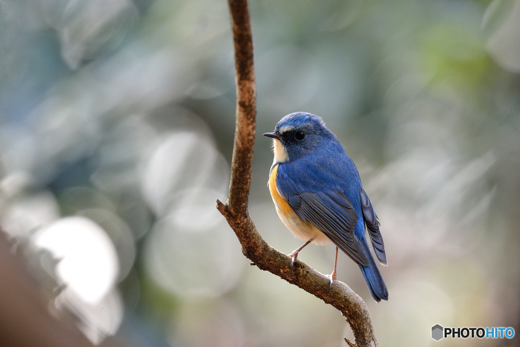 陽だまりの中で