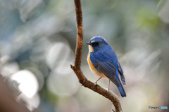 陽だまりの中で