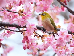 立春を迎えて