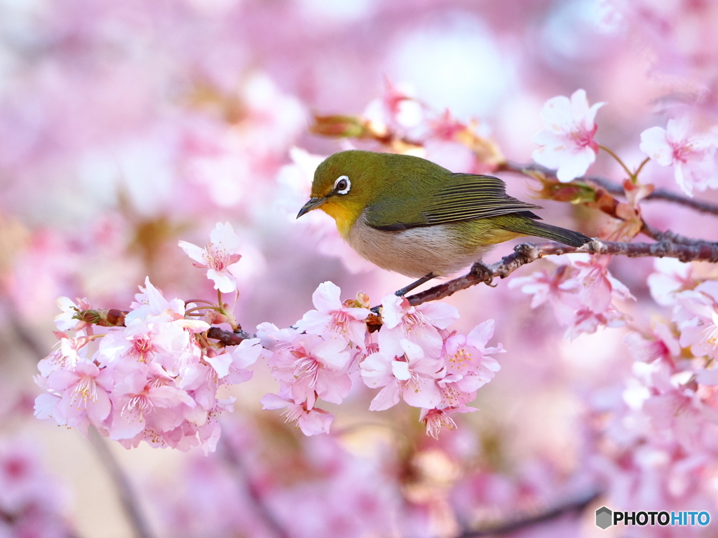 春の光を浴びて