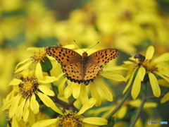 うきうきと うきうきと