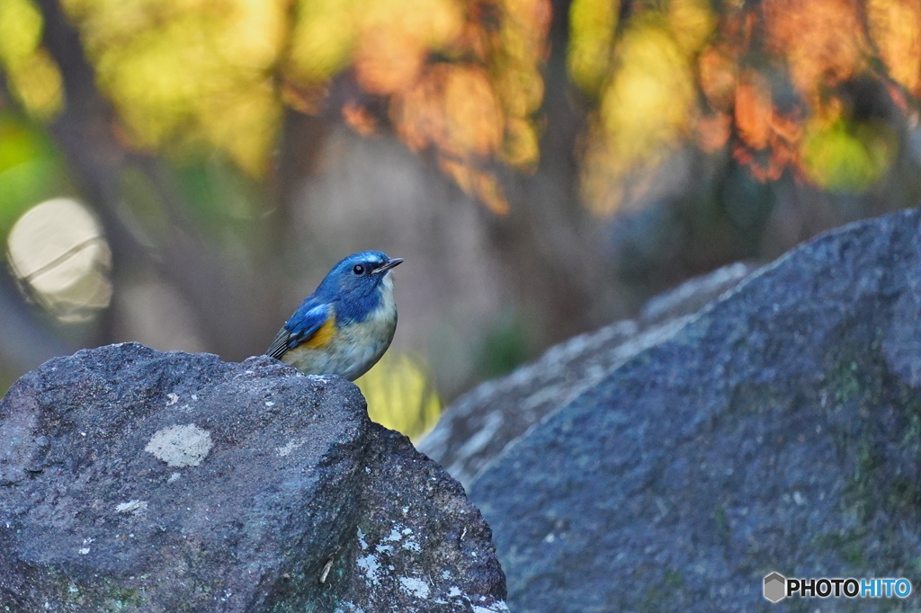 ゆるやかな時間