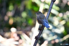 やわらかな光に包まれて