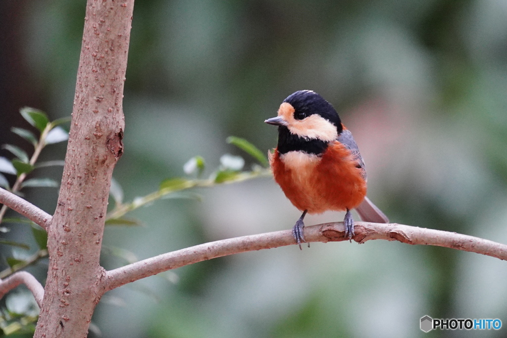 愛嬌があるヤマちゃん