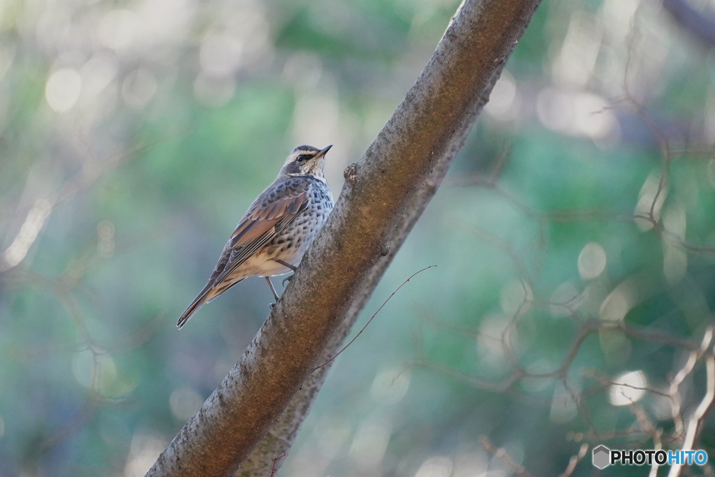 柔らかい日差しの中で