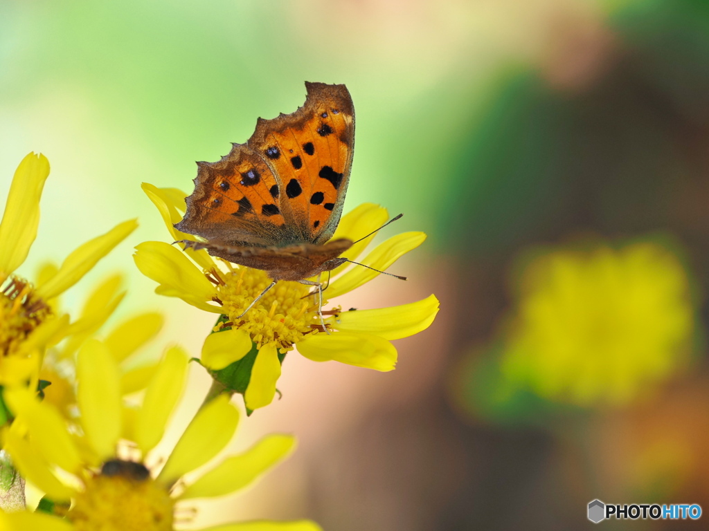 木洩れ日の中で