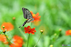 take off