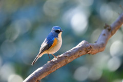 木漏れ日の中で