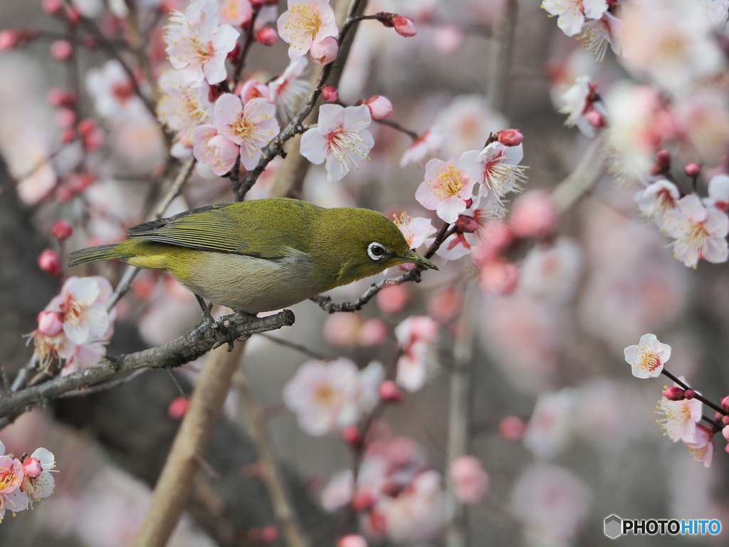 春の気配