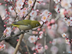 春の気配