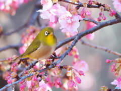 穏やかな一日