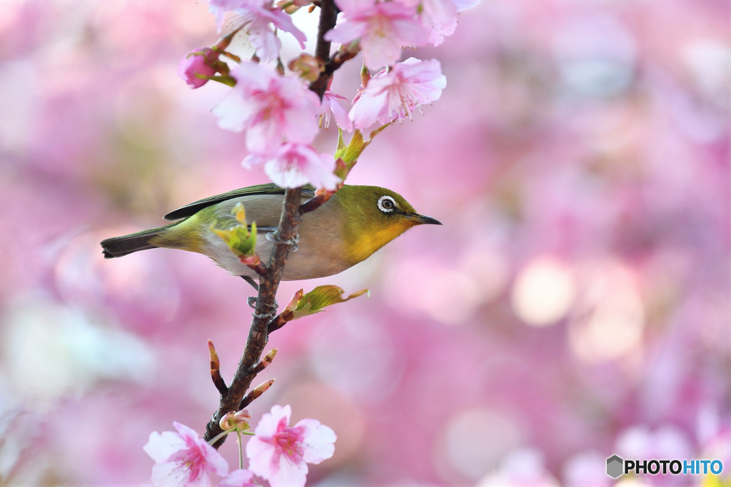 穏やかな時