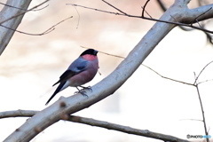 ゆるやかな時間