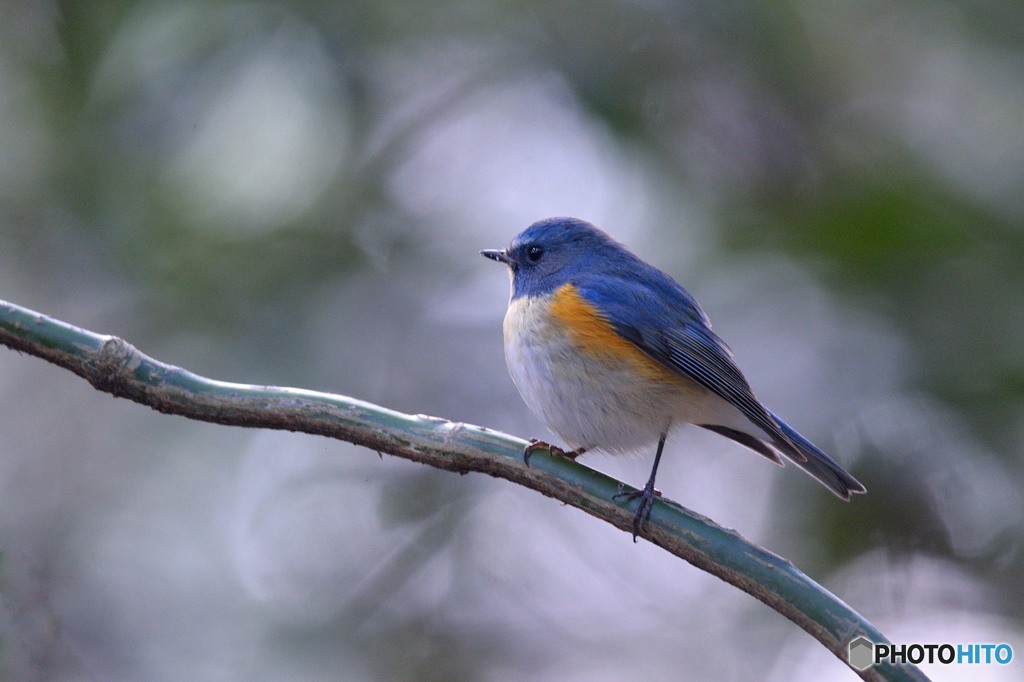 木漏れ日の中で