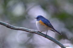 木漏れ日の中で