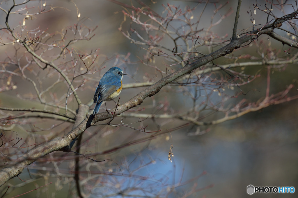 日の当たる場所