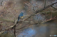 日の当たる場所