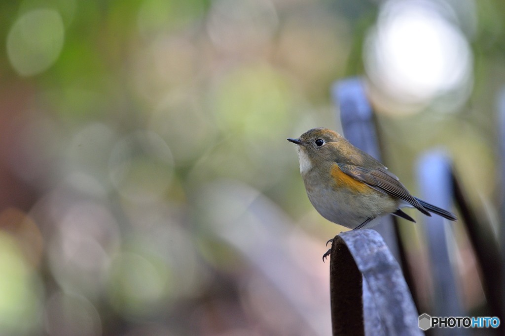 冬の日差しを浴びて