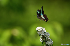 take off