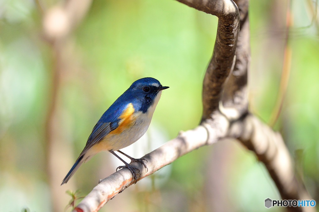 ゆるやかな時間