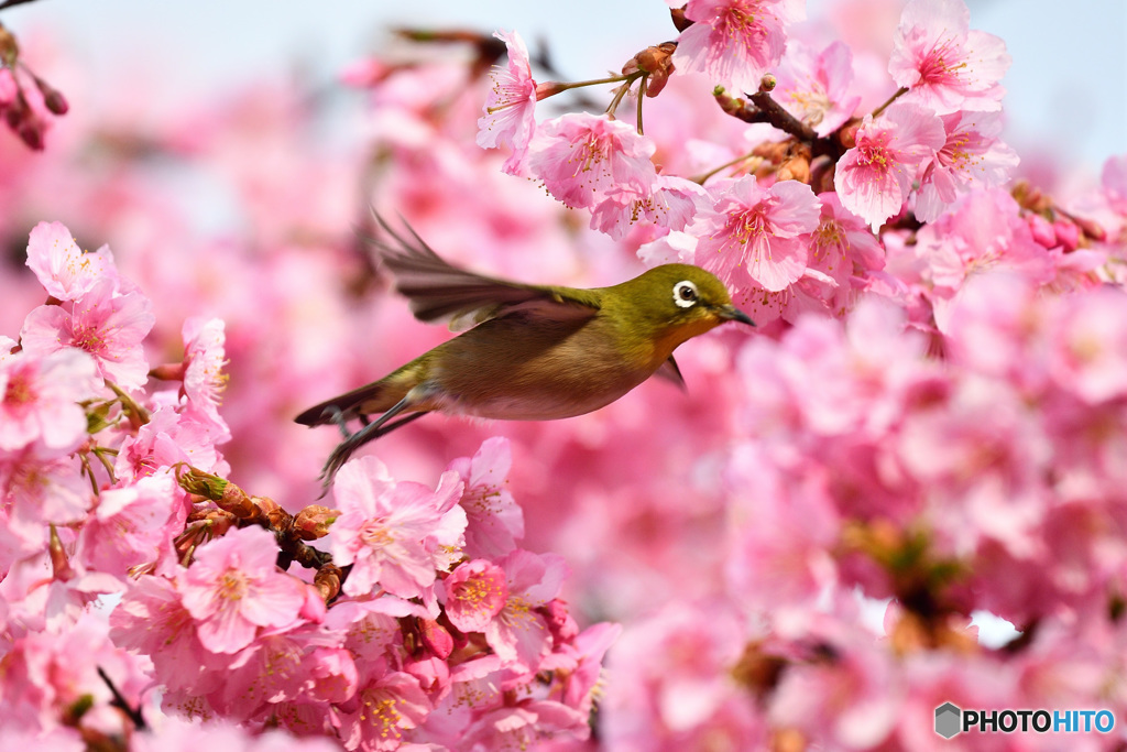 ＴＡＫＥ　ＯＦＦ