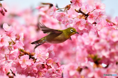 ＴＡＫＥ　ＯＦＦ