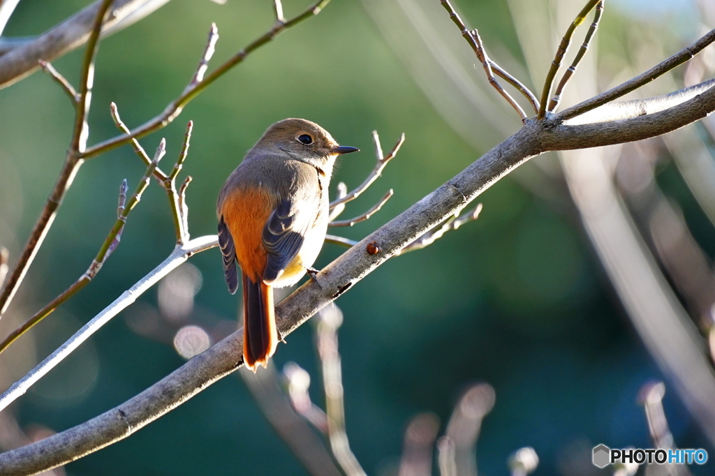暖かい日差しを浴びて