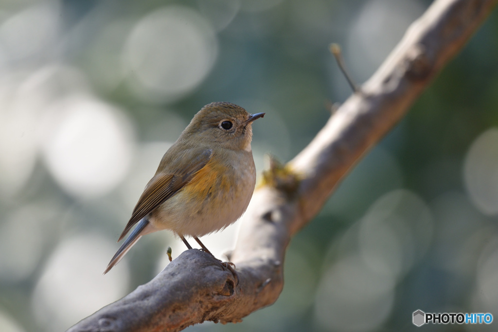 きらめきの中で