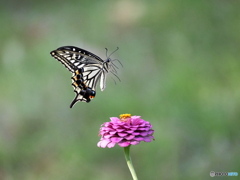 TAKE　OFF