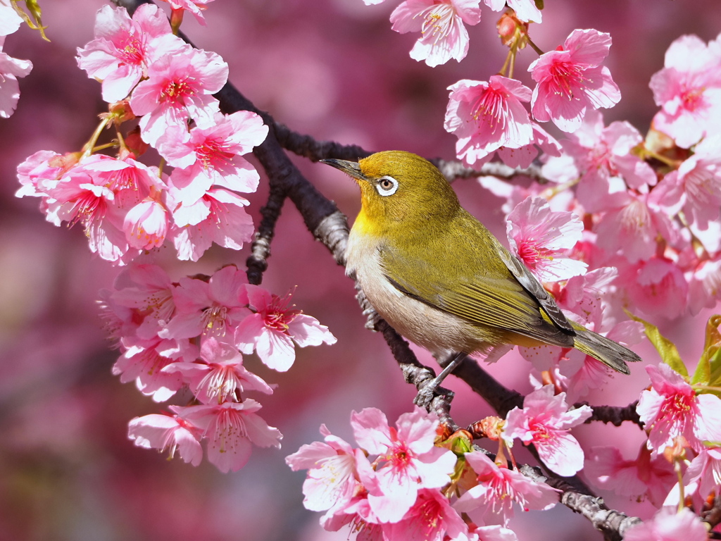 春の気配
